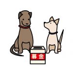 UNICEFは小学校から知っていました