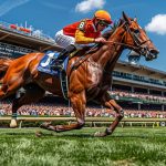 年間を通じて見る、馬券購入のベストタイミング
