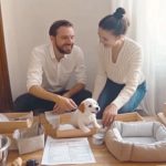 初心者必見！犬を飼う前に準備するべき5つのステップ